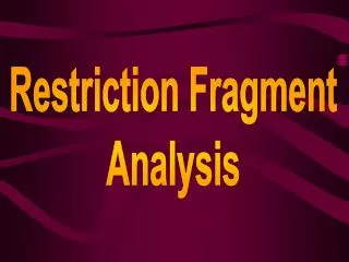 Restriction Fragment Analysis