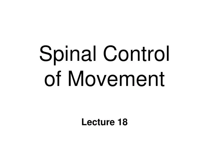 spinal control of movement