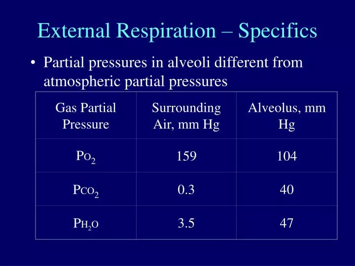 external respiration specifics
