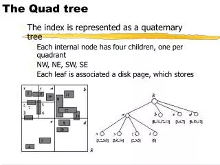 The Quad tree