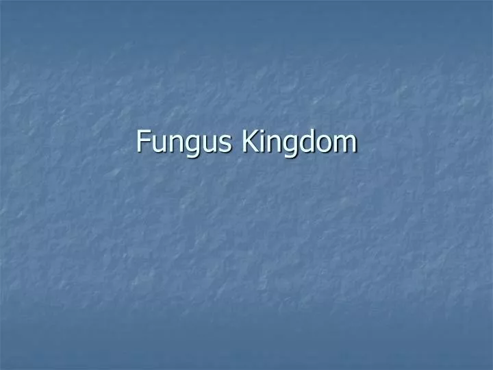 fungus kingdom