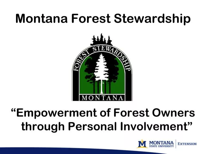 montana forest stewardship