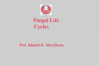 Fungal Life Cycles Prof. Khaled H. Abu-Elteen