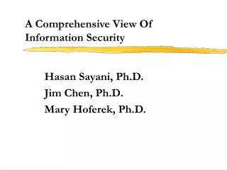 A Comprehensive View Of Information Security