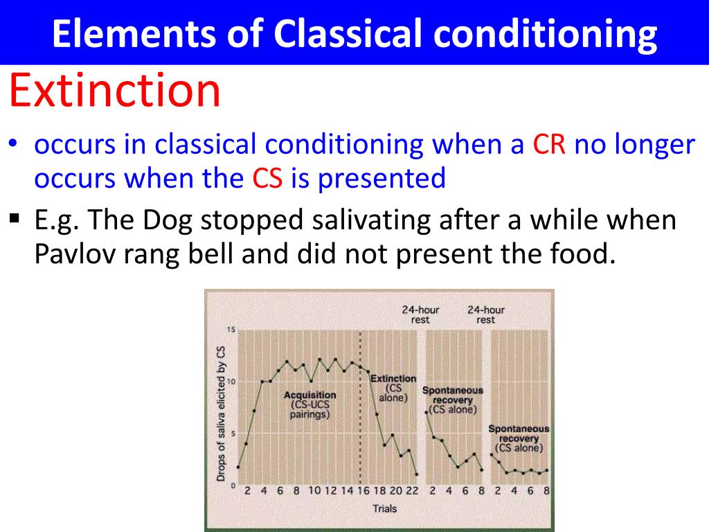 PPT - Understanding Classical Conditioning Extinction and Spontaneous ...