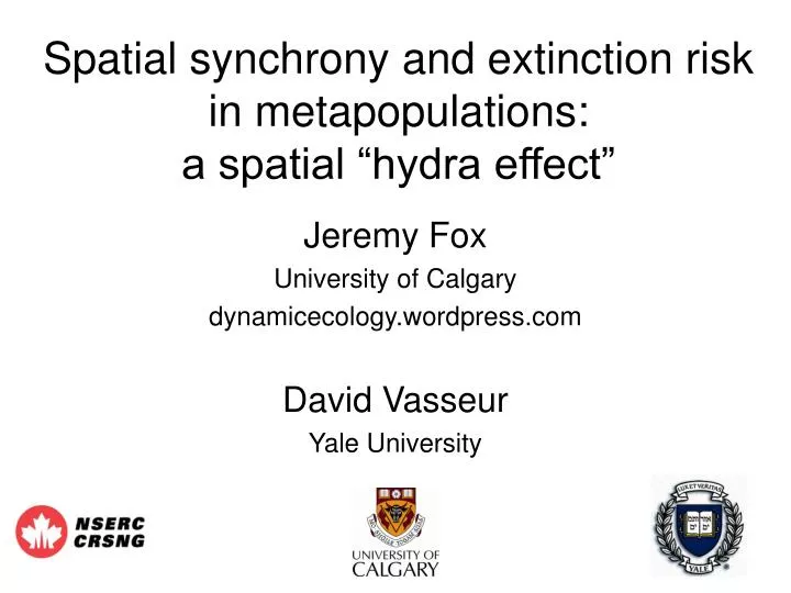 spatial synchrony and extinction risk in metapopulations a spatial hydra effect