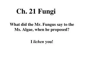 Ch. 21 Fungi