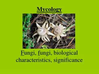 Mycology F ungi, f ungi, biological characteristics, significance