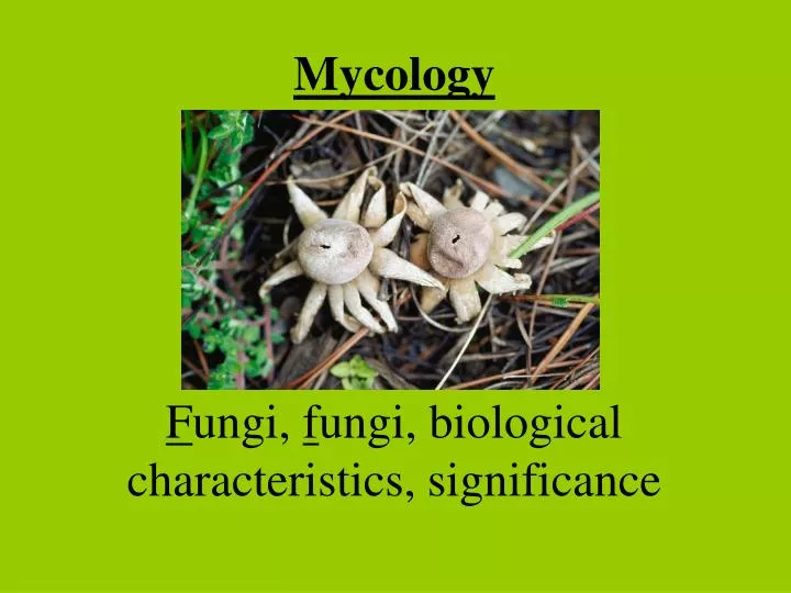 mycology f ungi f ungi biological characteristics significance