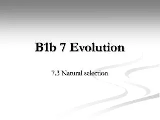 B1b 7 Evolution