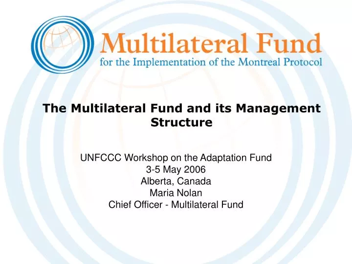 the multilateral fund and its management structure