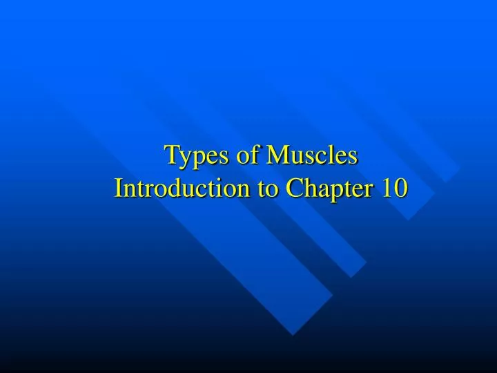 types of muscles introduction to chapter 10