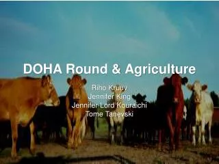 DOHA Round &amp; Agriculture