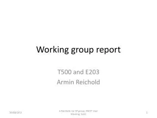 Working group report