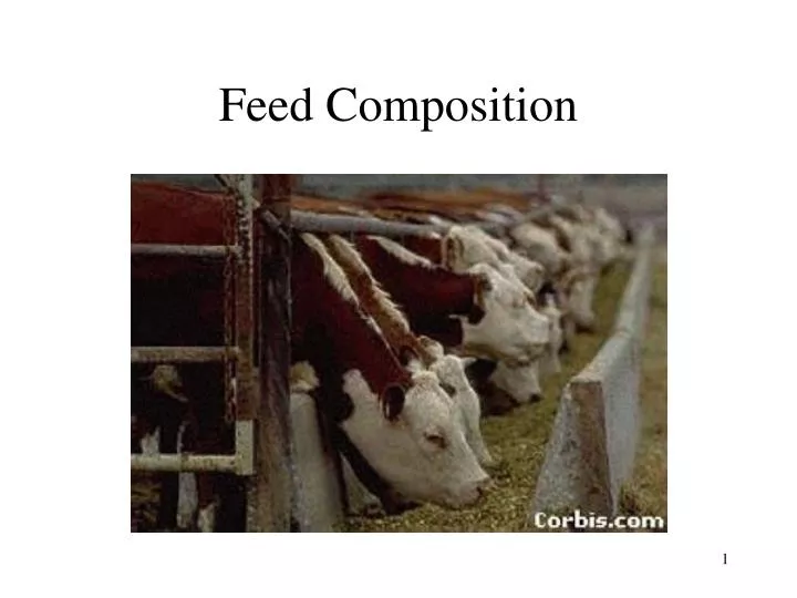 feed composition