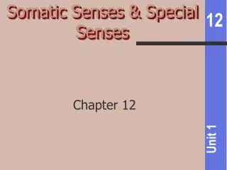 Somatic Senses &amp; Special Senses