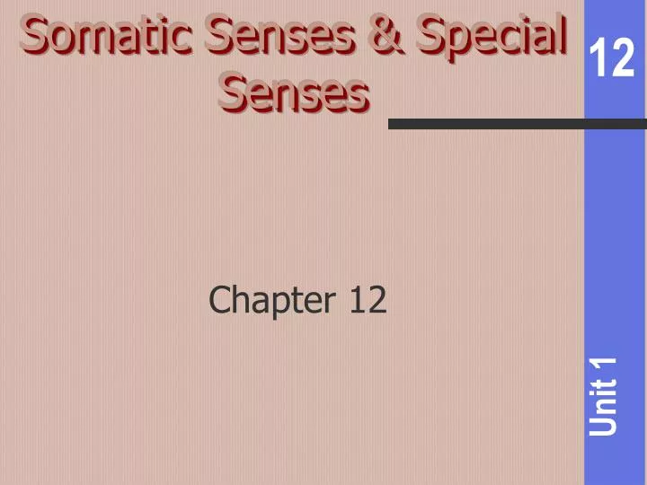 somatic senses special senses