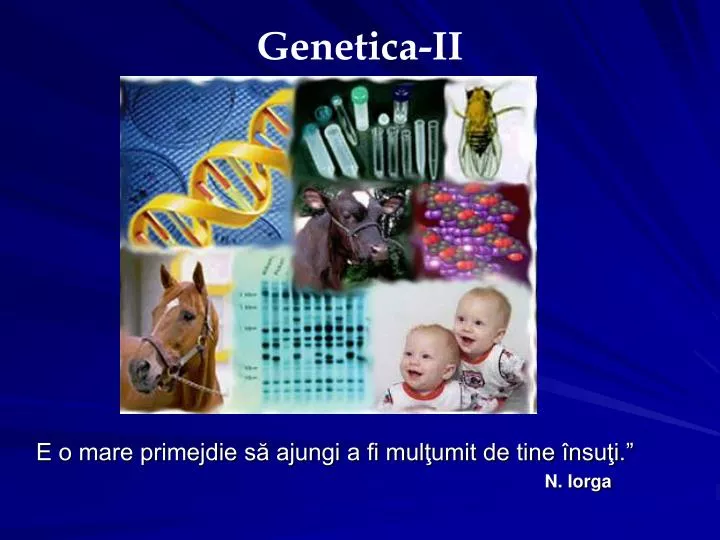 genetica ii