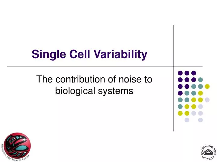 single cell variability