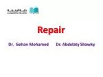Repair - slide 1
