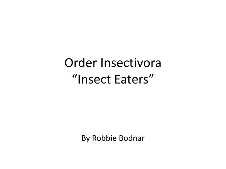 order insectivora insect eaters