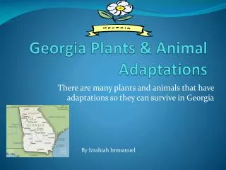 Georgia Plants &amp; Animal Adaptations