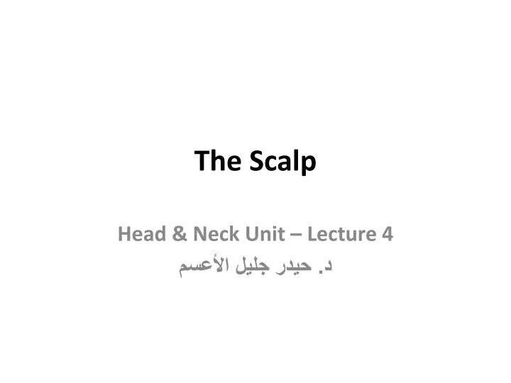 the scalp