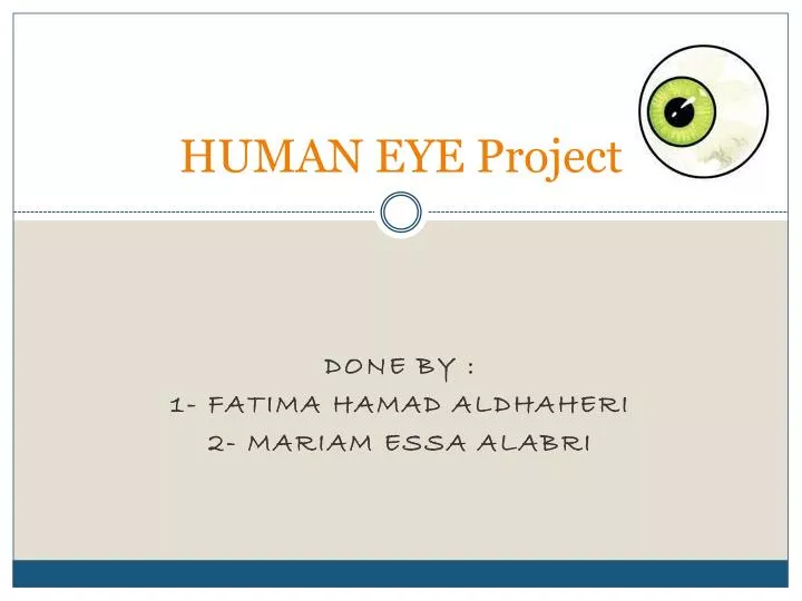 human eye project