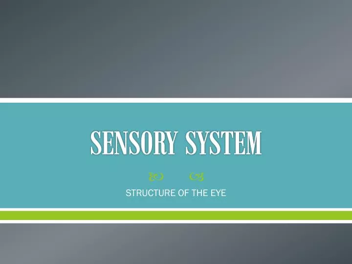 sensory system