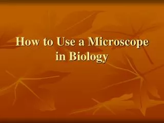 How to Use a Microscope in Biology