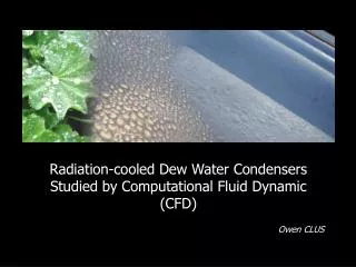 Radiation-cooled Dew Water Condensers Studied by Computational Fluid Dynamic (CFD)