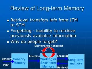 Review of Long-term Memory