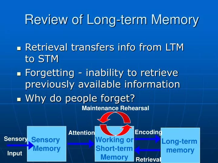 review of long term memory