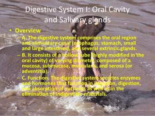 Digestive System I: Oral Cavity and Salivary glands