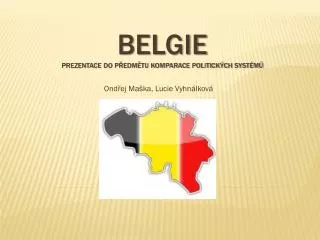 Belgie prezentace do předmětu komparace politických systémů