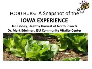 FOOD HUBS: A Snapshot of the IOWA EXPERIENCE Jan Libbey, Healthy Harvest of North Iowa &amp; Dr. Mark Edelman, ISU C