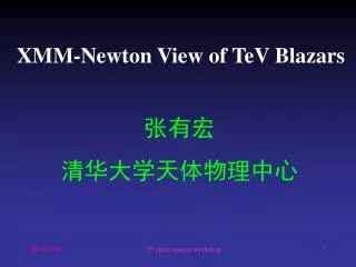 XMM-Newton View of TeV Blazars