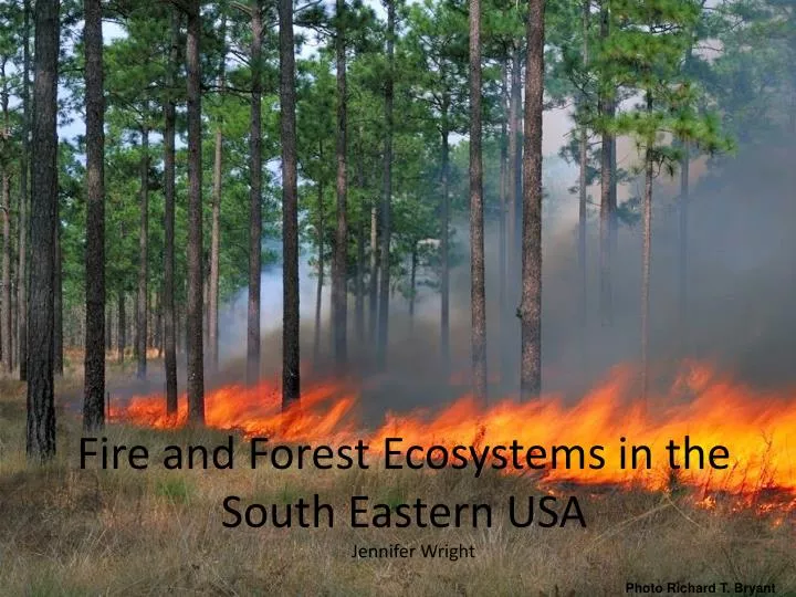 fire and forest ecosystems in the south eastern usa