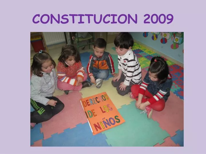 constitucion 2009