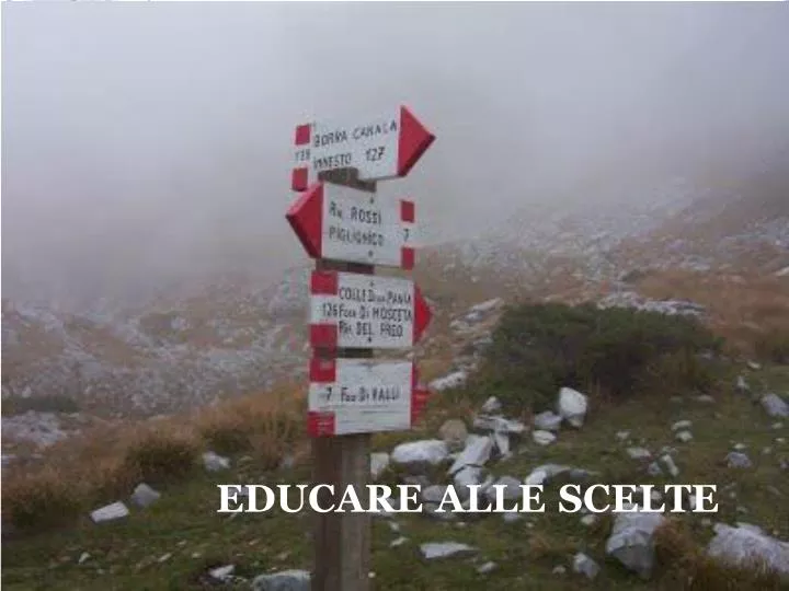 educare alle scelte