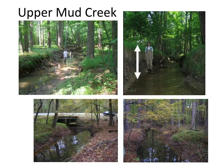 upper mud creek