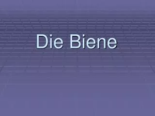 die biene