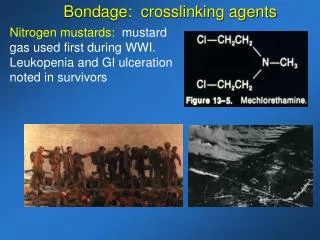 Nitrogen mustards: mustard gas used first during WWI. Leukopenia and GI ulceration noted in survivors