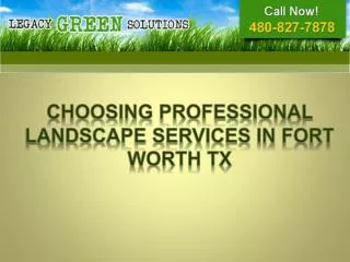 Choosing professional Landscape Services in Fort Worth TX