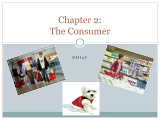 Chapter 2: The Consumer
