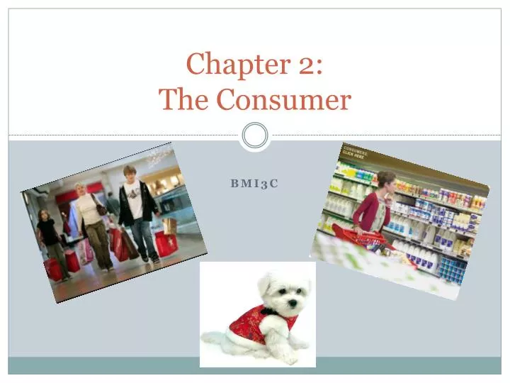 chapter 2 the consumer