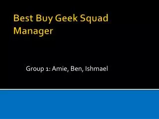 Best Buy Geek Squad Manager