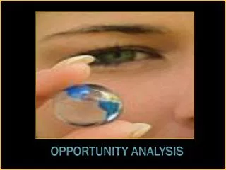 Opportunity Analysis