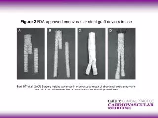 Figure 2 FDA-approved endovascular stent graft devices in use