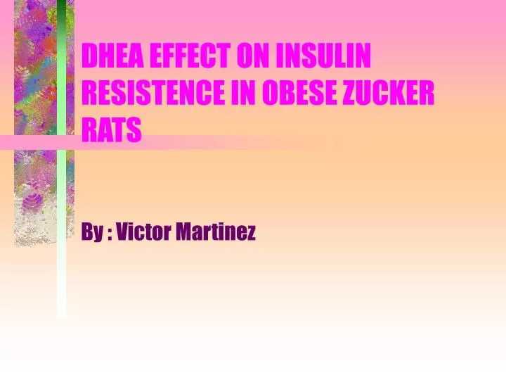 dhea effect on insulin resistence in obese zucker rats